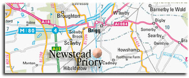 Boarding kennels and cattery with the dogs out having fun!!